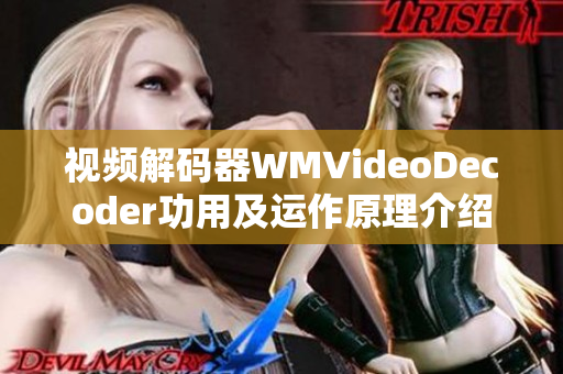 视频解码器WMVideoDecoder功用及运作原理介绍