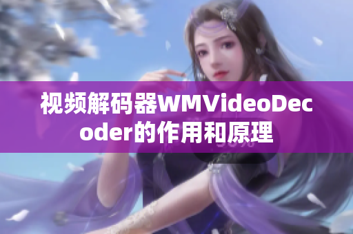 视频解码器WMVideoDecoder的作用和原理