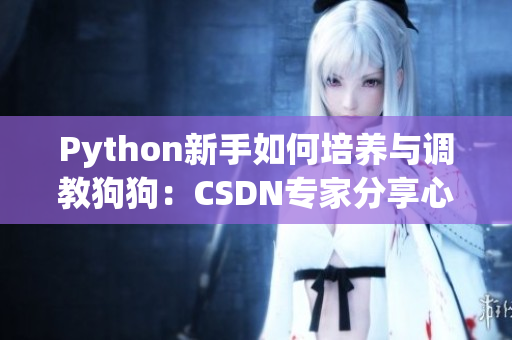 Python新手如何培养与调教狗狗：CSDN专家分享心得