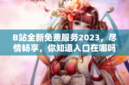 B站全新免费服务2023，尽情畅享，你知道入口在哪吗？