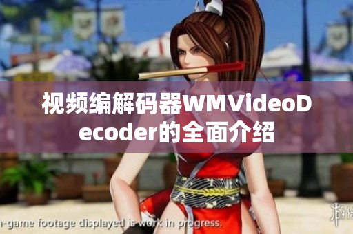 视频编解码器WMVideoDecoder的全面介绍