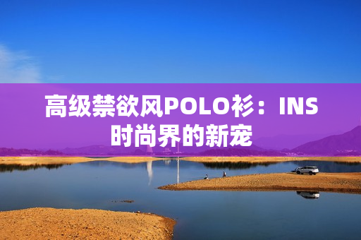 高级禁欲风POLO衫：INS时尚界的新宠