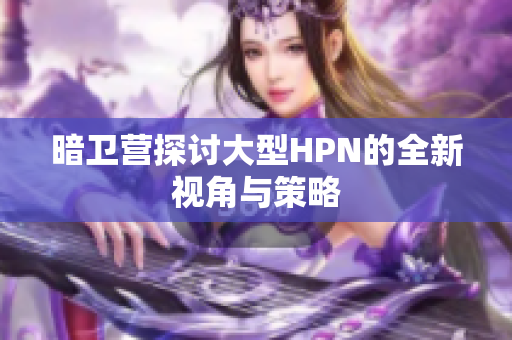 暗卫营探讨大型HPN的全新视角与策略