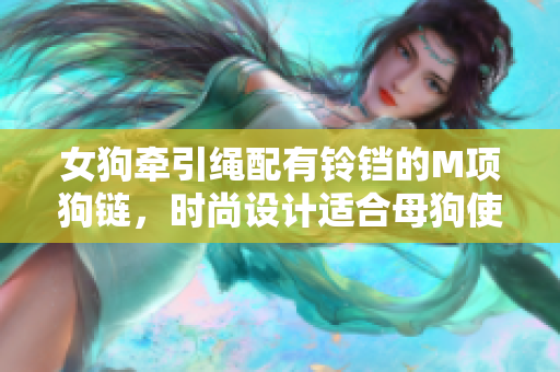 女狗牵引绳配有铃铛的M项狗链，时尚设计适合母狗使用