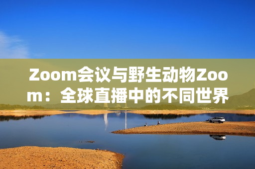 Zoom会议与野生动物Zoom：全球直播中的不同世界