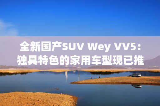 全新国产SUV Wey VV5：独具特色的家用车型现已推出