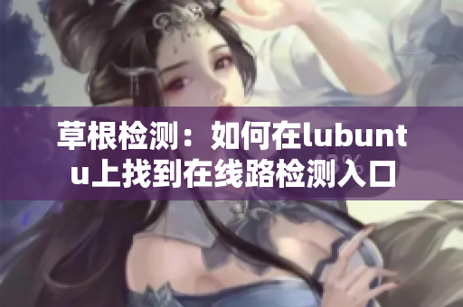 草根检测：如何在lubuntu上找到在线路检测入口