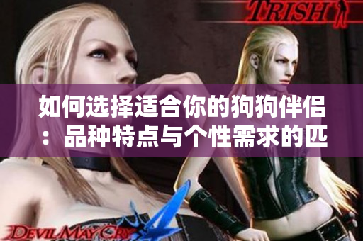 如何选择适合你的狗狗伴侣：品种特点与个性需求的匹配