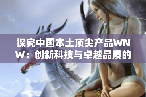 探究中国本土顶尖产品WNW：创新科技与卓越品质的完美结合