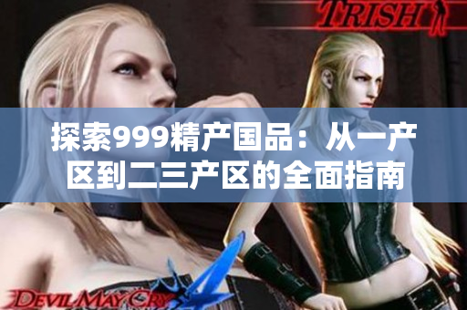 探索999精产国品：从一产区到二三产区的全面指南