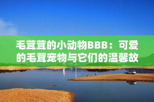 毛茸茸的小动物BBB：可爱的毛茸宠物与它们的温馨故事