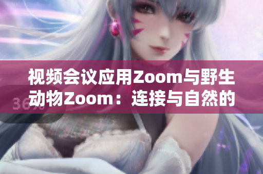 视频会议应用Zoom与野生动物Zoom：连接与自然的新视野