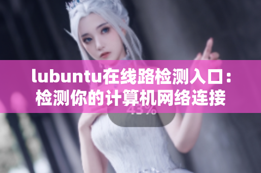 lubuntu在线路检测入口：检测你的计算机网络连接