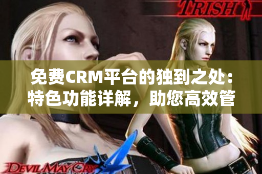 免费CRM平台的独到之处：特色功能详解，助您高效管理客户关系