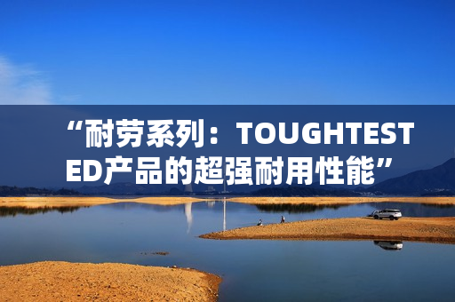 “耐劳系列：TOUGHTESTED产品的超强耐用性能”