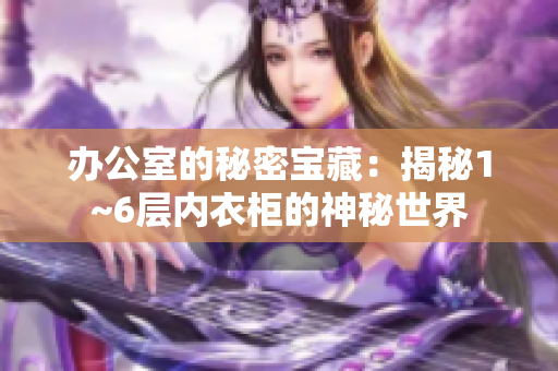 办公室的秘密宝藏：揭秘1~6层内衣柜的神秘世界