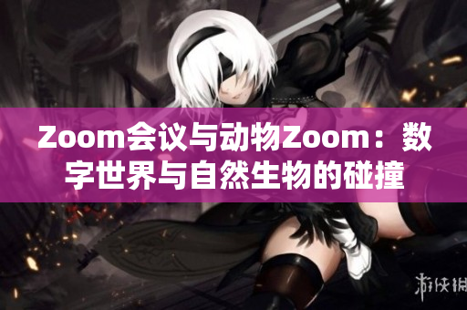 Zoom会议与动物Zoom：数字世界与自然生物的碰撞