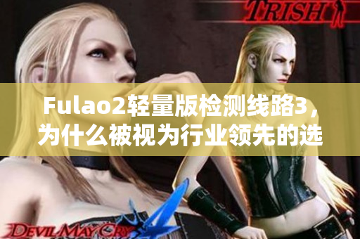 Fulao2轻量版检测线路3，为什么被视为行业领先的选择？