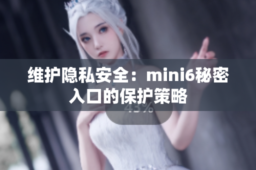 维护隐私安全：mini6秘密入口的保护策略