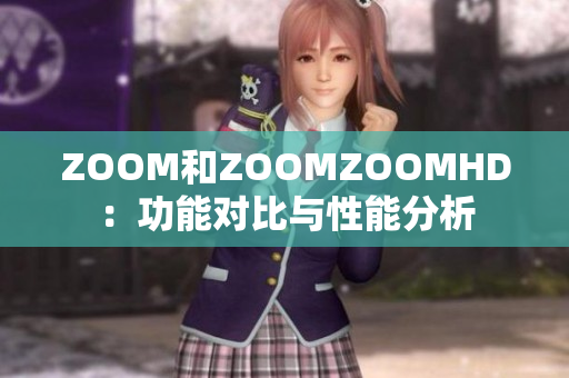 ZOOM和ZOOMZOOMHD：功能对比与性能分析