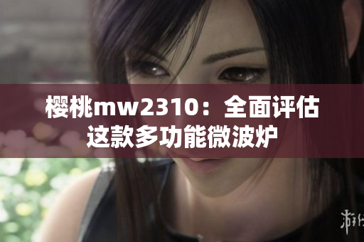 樱桃mw2310：全面评估这款多功能微波炉