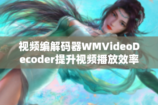 视频编解码器WMVideoDecoder提升视频播放效率的必备利器