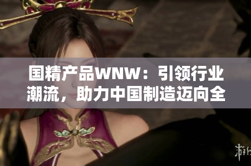 国精产品WNW：引领行业潮流，助力中国制造迈向全球舞台