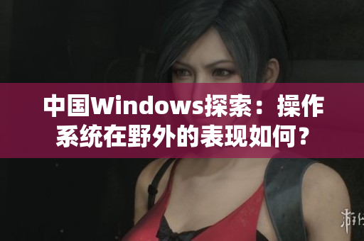 中国Windows探索：操作系统在野外的表现如何？