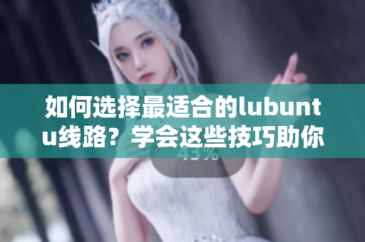 如何选择最适合的lubuntu线路？学会这些技巧助你轻松上手