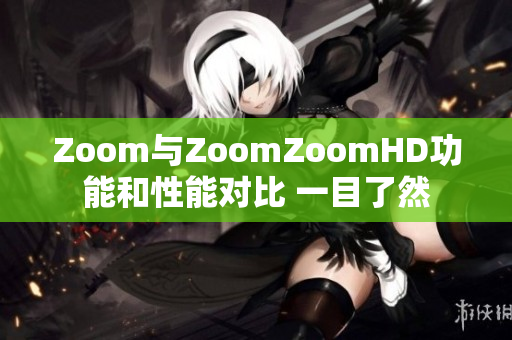 Zoom与ZoomZoomHD功能和性能对比 一目了然