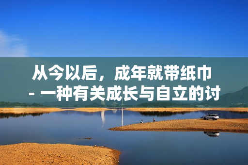 从今以后，成年就带纸巾 - 一种有关成长与自立的讨论