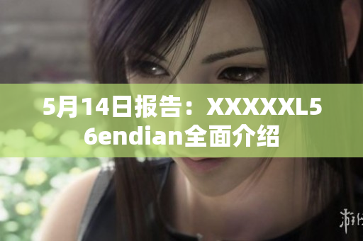 5月14日报告：XXXXXL56endian全面介绍