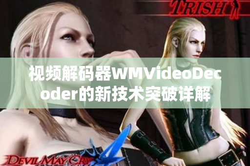 视频解码器WMVideoDecoder的新技术突破详解