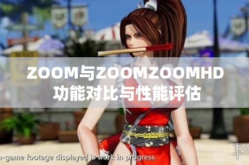 ZOOM与ZOOMZOOMHD 功能对比与性能评估