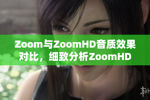 Zoom与ZoomHD音质效果对比，细致分析ZoomHD功能优势