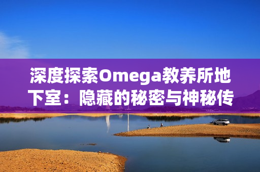 深度探索Omega教养所地下室：隐藏的秘密与神秘传说揭示