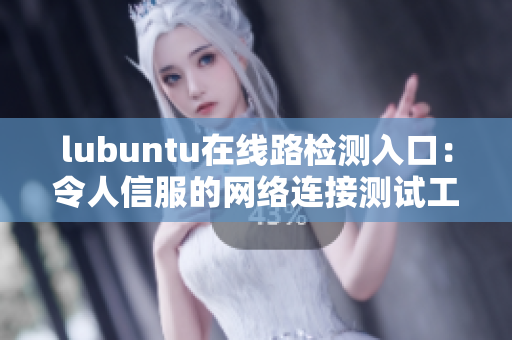 lubuntu在线路检测入口：令人信服的网络连接测试工具