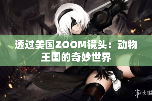 透过美国ZOOM镜头：动物王国的奇妙世界