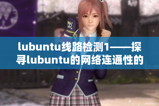 lubuntu线路检测1——探寻lubuntu的网络连通性的重要性