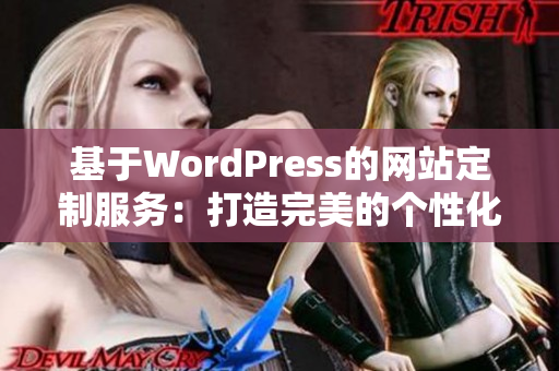 基于WordPress的网站定制服务：打造完美的个性化网站