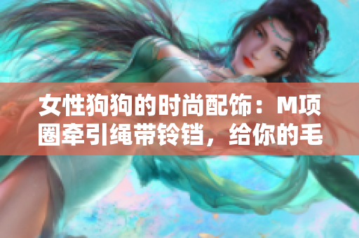 女性狗狗的时尚配饰：M项圈牵引绳带铃铛，给你的毛孩增添亮点