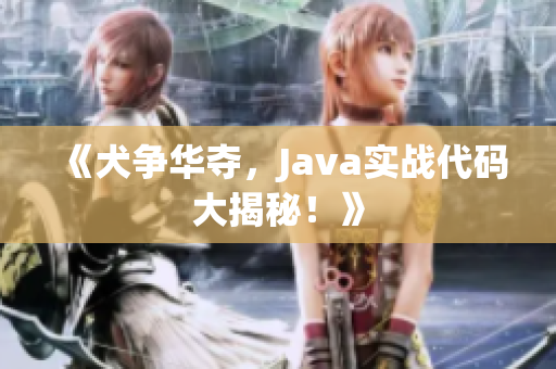 《犬争华夺，Java实战代码大揭秘！》