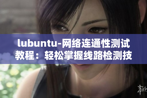 lubuntu-网络连通性测试教程：轻松掌握线路检测技巧