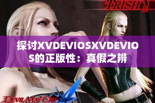 探讨XVDEVIOSXVDEVIOS的正版性：真假之辨