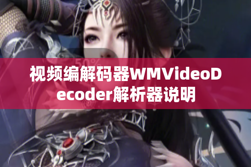 视频编解码器WMVideoDecoder解析器说明