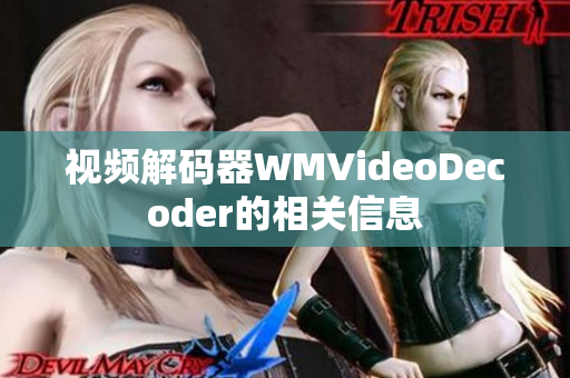 视频解码器WMVideoDecoder的相关信息