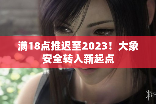 满18点推迟至2023！大象安全转入新起点