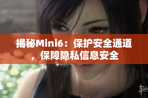 揭秘Mini6：保护安全通道，保障隐私信息安全