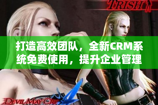 打造高效团队，全新CRM系统免费使用，提升企业管理效率