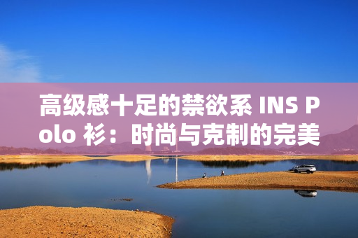 高级感十足的禁欲系 INS Polo 衫：时尚与克制的完美融合